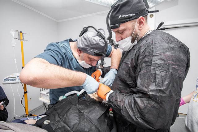 Best Dentist in Navi Mumbai